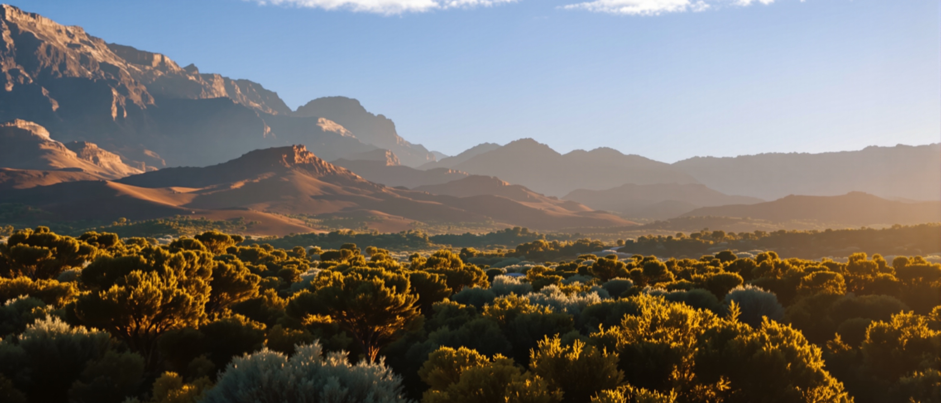 Forêt d’arganiers